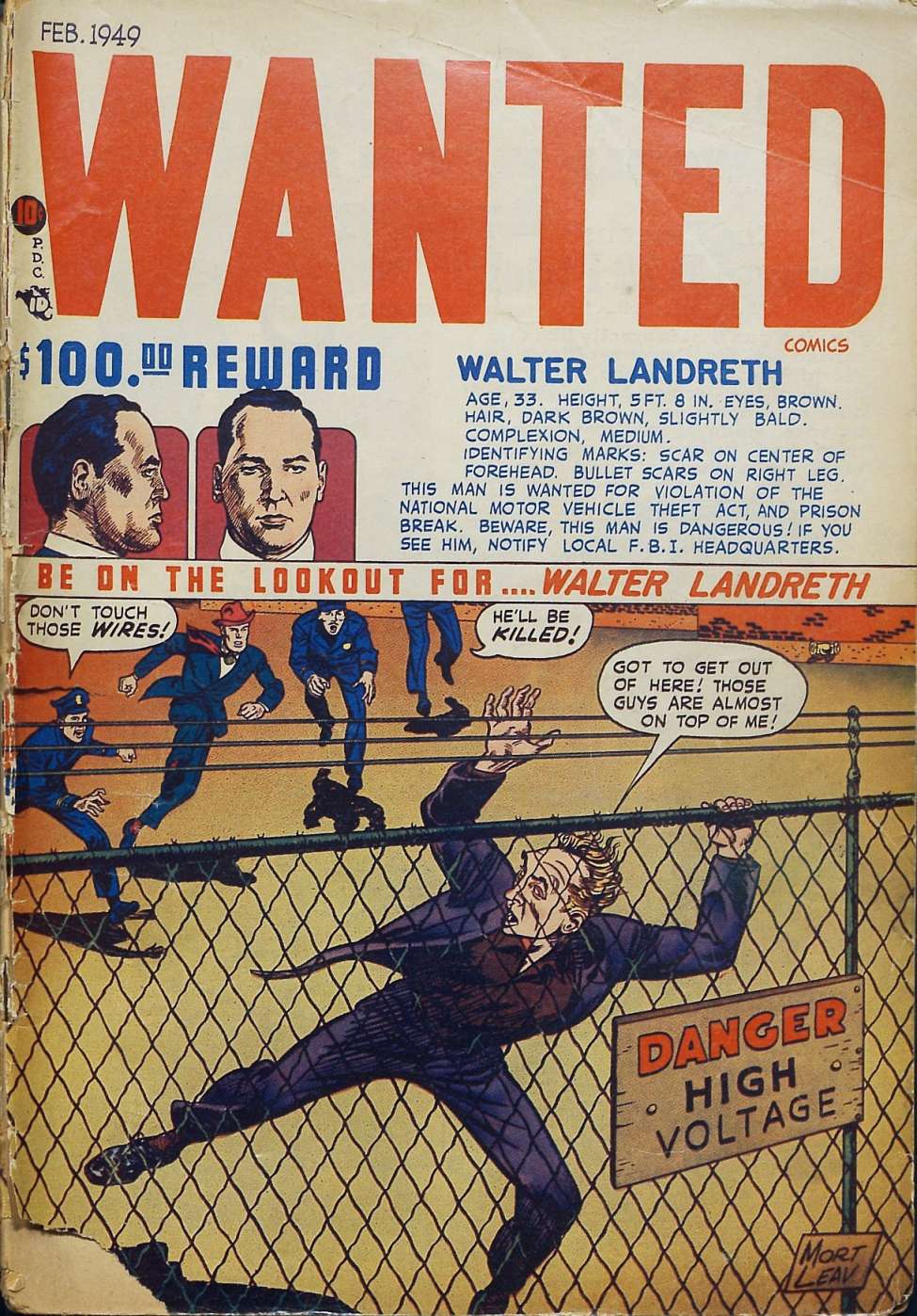 Comic Book Cover For Wanted Comics 18