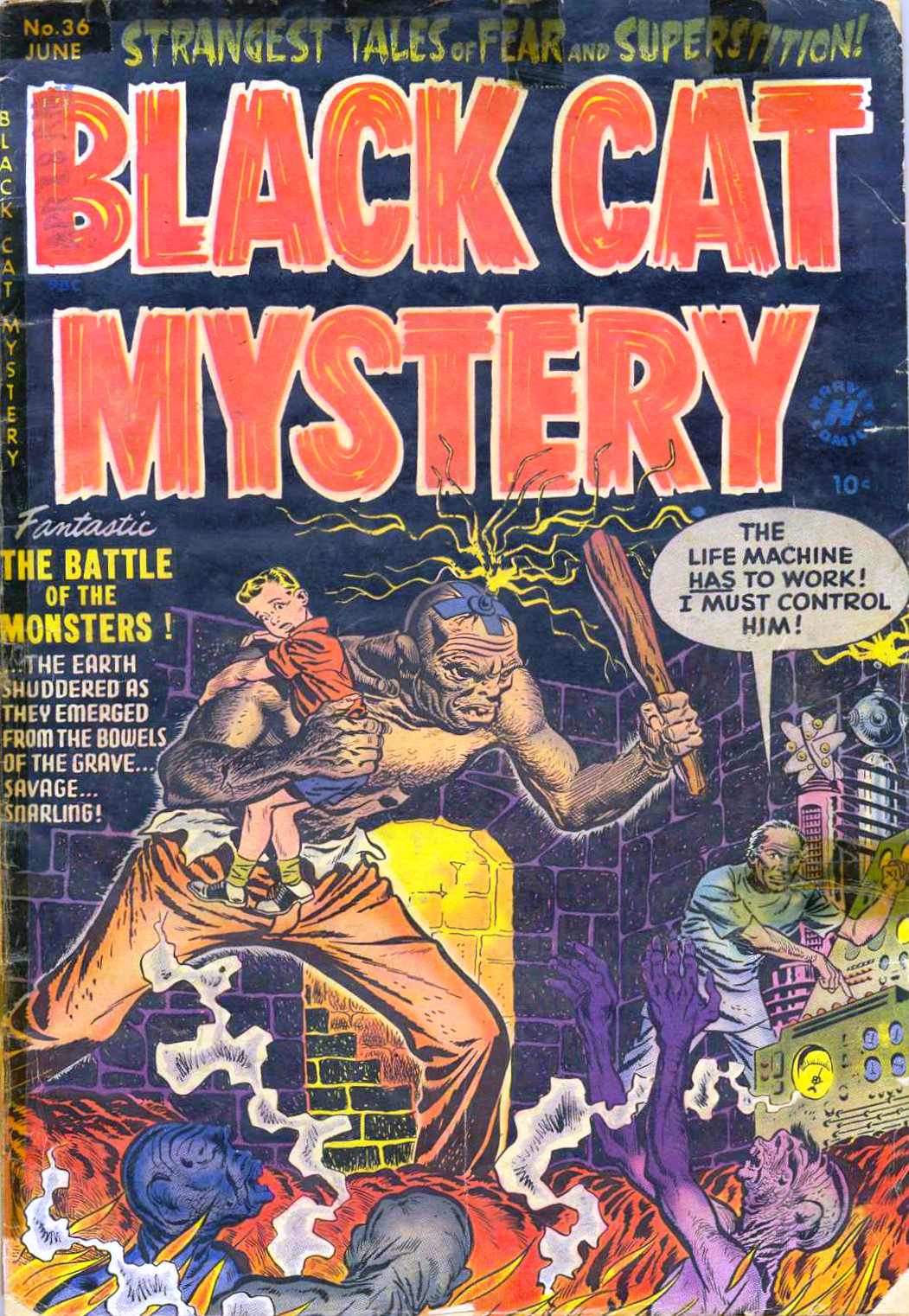 Book Cover For Black Cat 36 (Mystery)