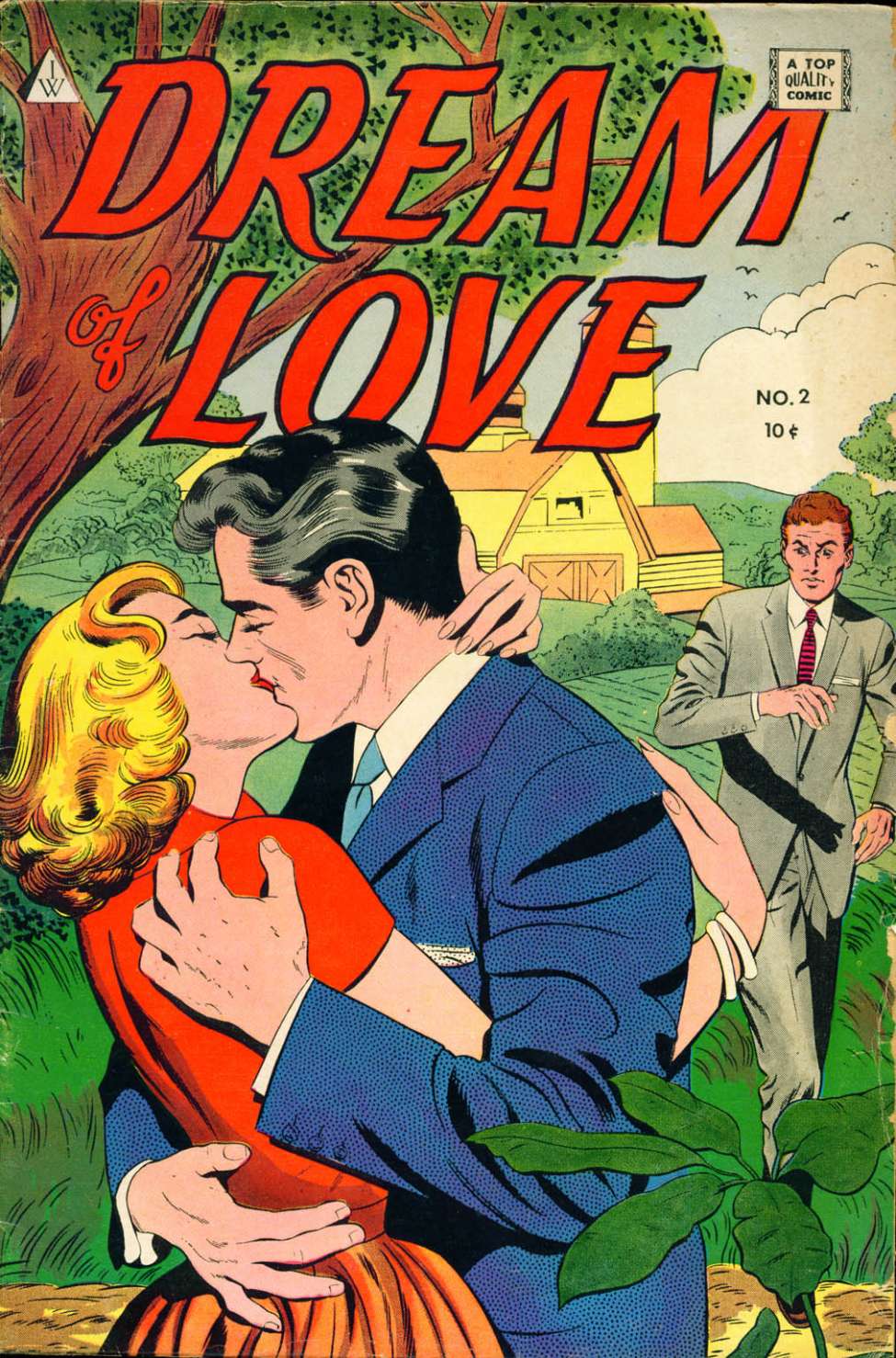 Comic Book Cover For Dream of Love 2