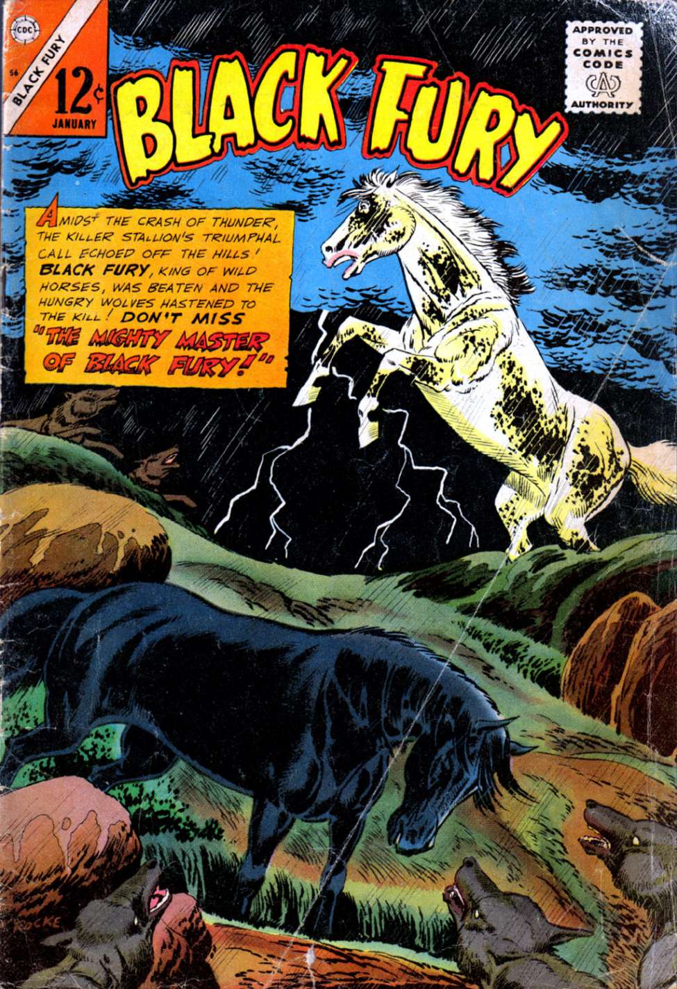Comic Book Cover For Black Fury 56