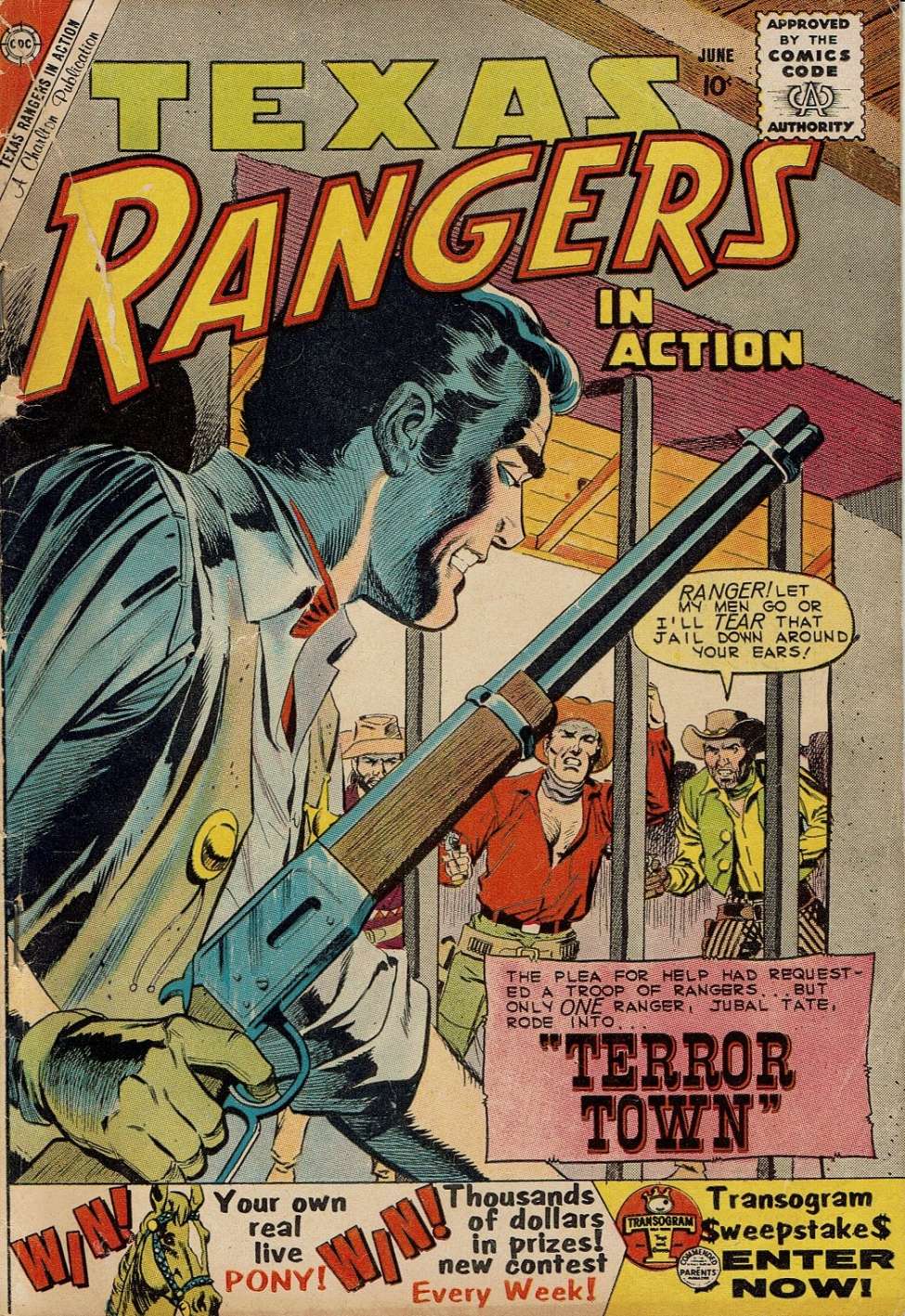 Book Cover For Texas Rangers in Action 22