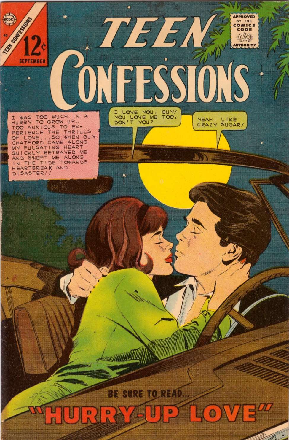 Book Cover For Teen Confessions 40