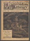 Cover For Beadle's Half Dime Library 785 - Lone Hand Joe, the Committee of One