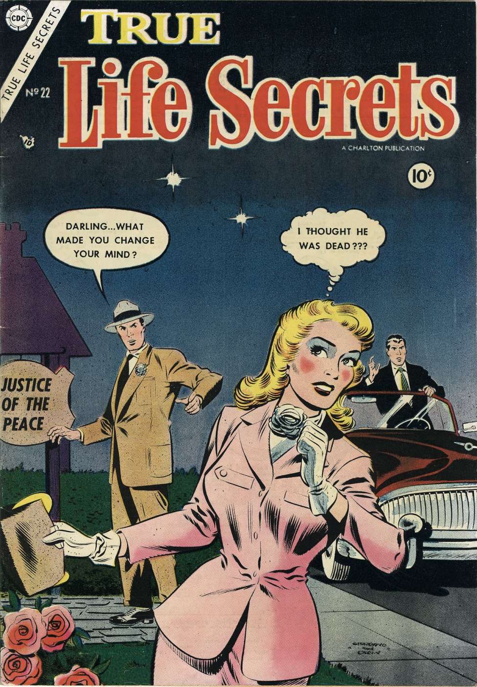 Comic Book Cover For True Life Secrets 22