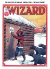 Cover For The Wizard 677