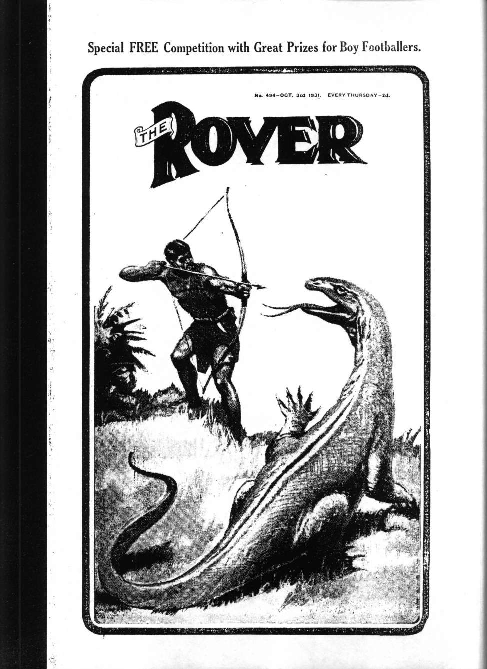 Book Cover For The Rover 494