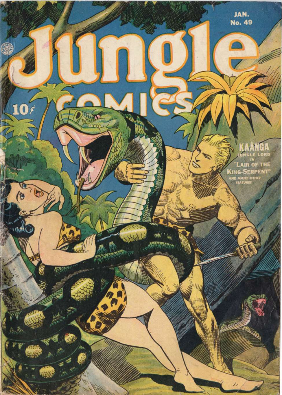 Comic Book Cover For Jungle Comics 49