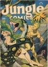 Cover For Jungle Comics 49