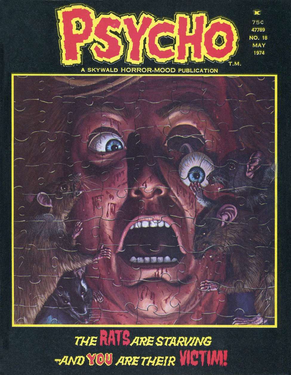 Book Cover For Psycho 18