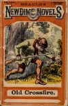 Cover For Beadle's New Dime Novels 5 - Old Crossfire