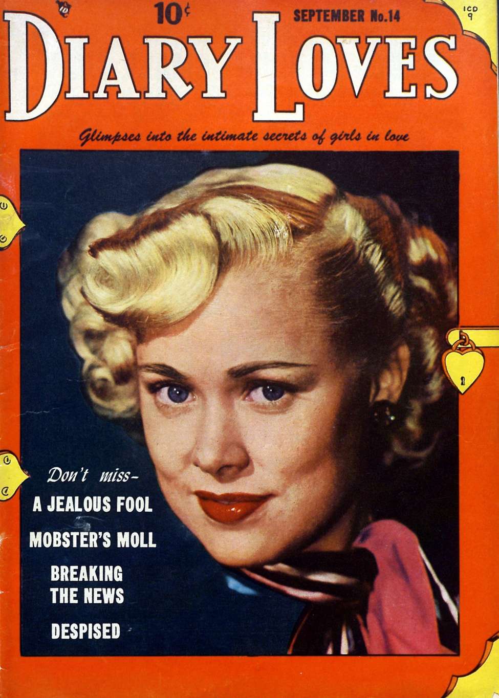 Comic Book Cover For Diary Loves 14