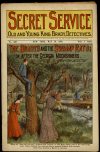 Cover For Secret Service 330 - The Bradys and the Swamp Rats