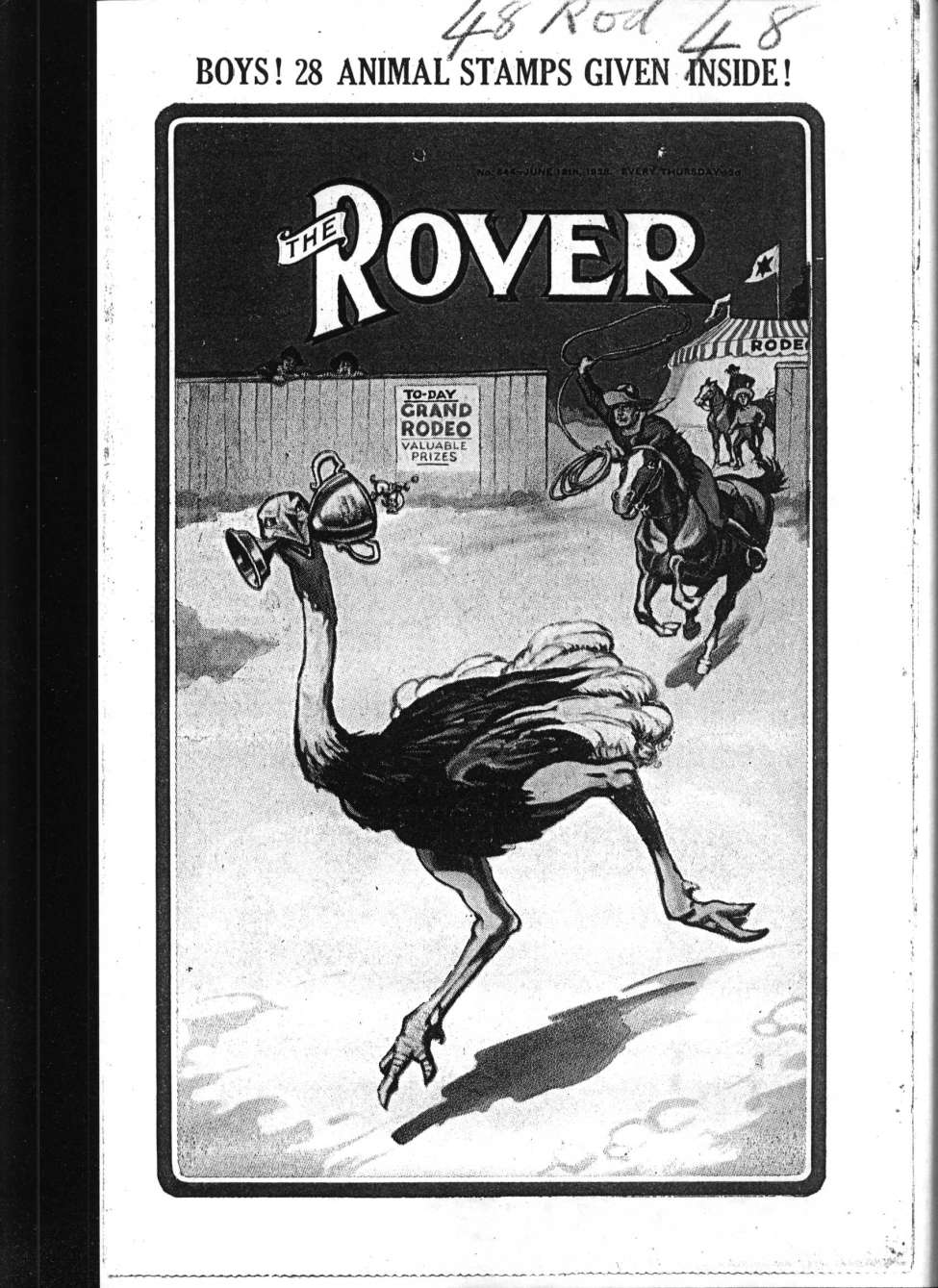 Book Cover For The Rover 844