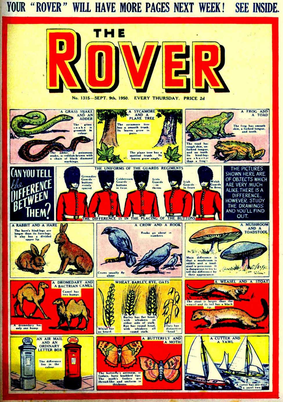 Comic Book Cover For The Rover 1315