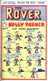 Cover For The Rover 1064