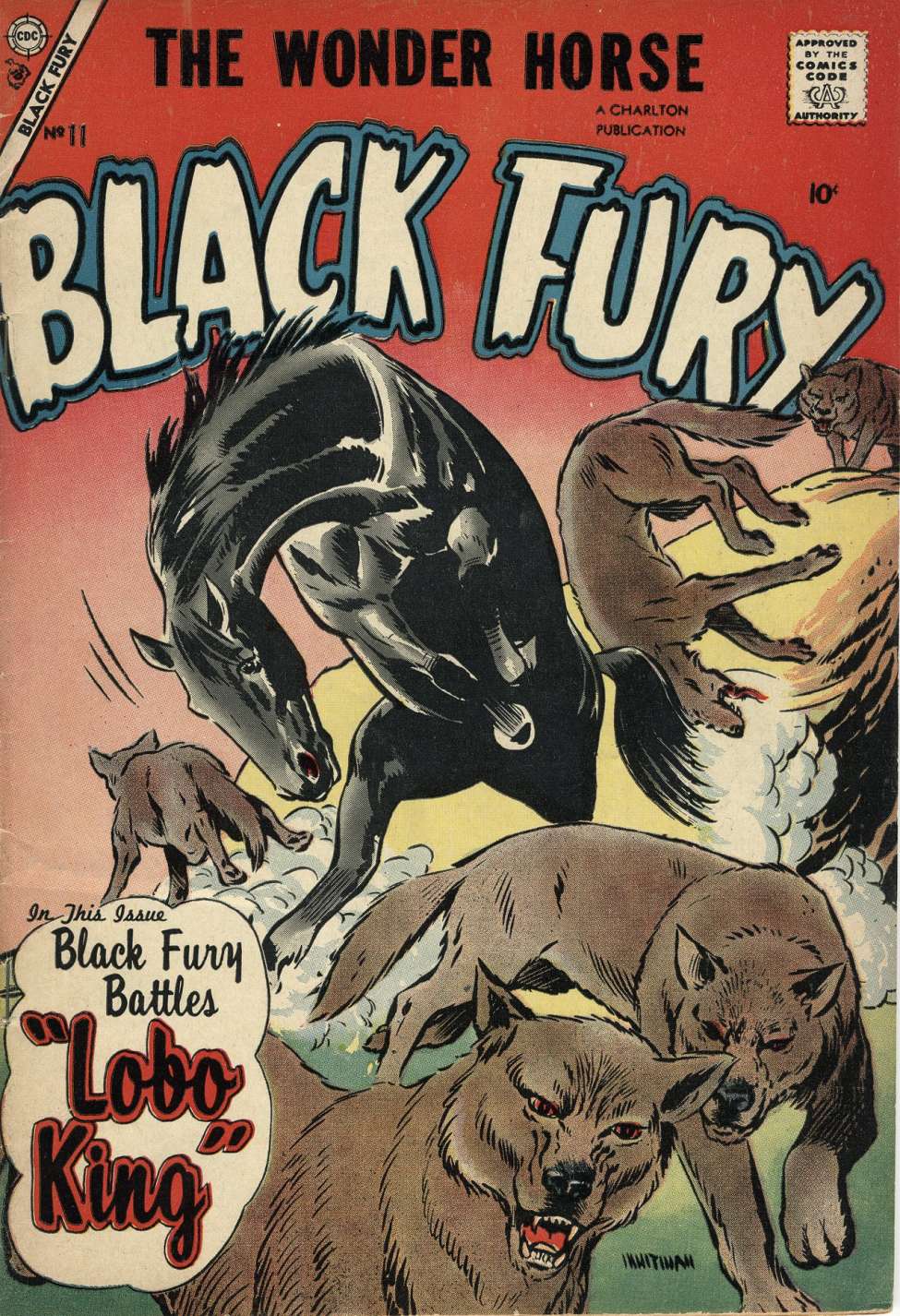 Comic Book Cover For Black Fury 11