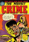 Cover For The Perfect Crime 30