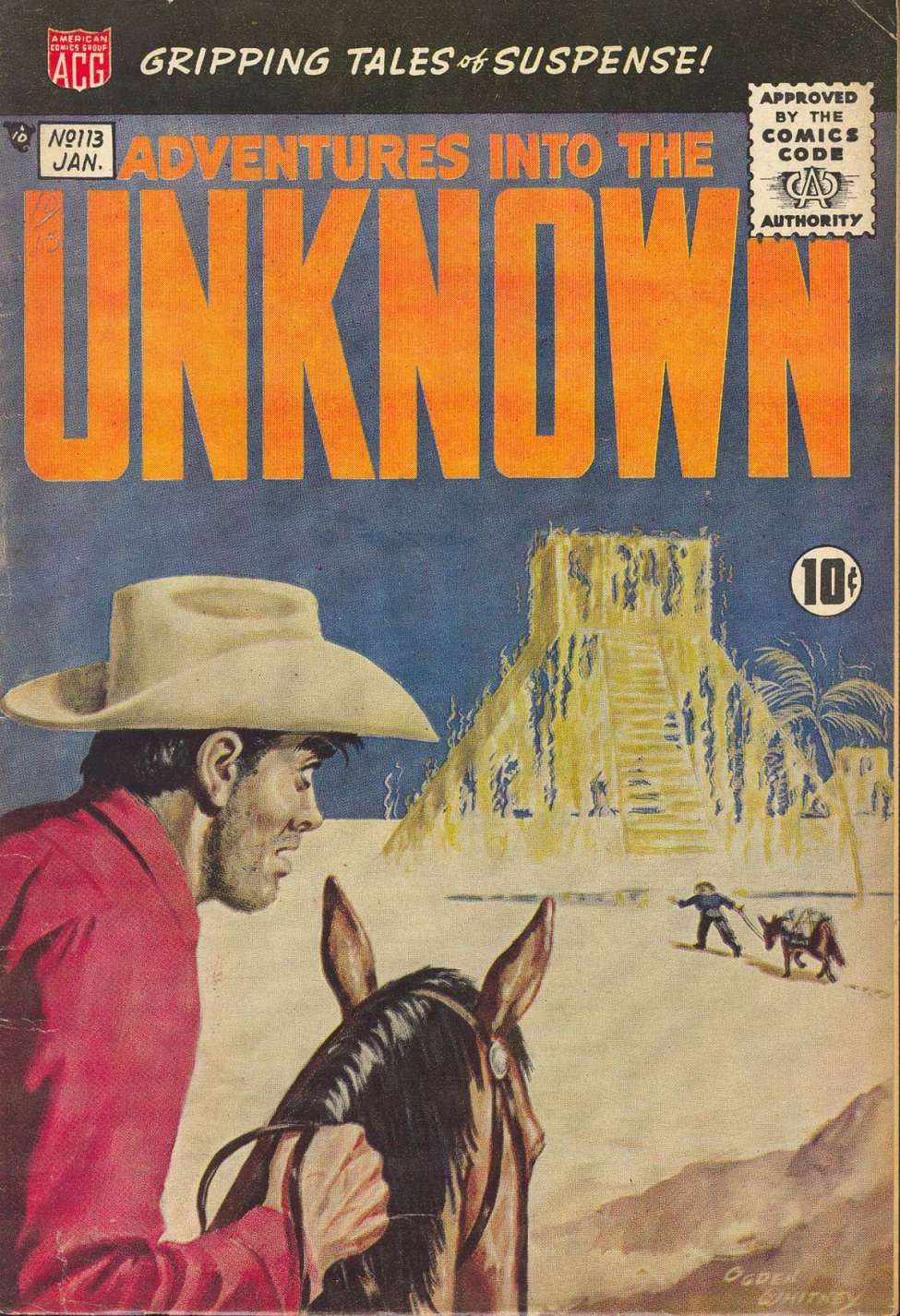 Book Cover For Adventures into the Unknown 113