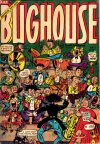 Cover For Bughouse 2