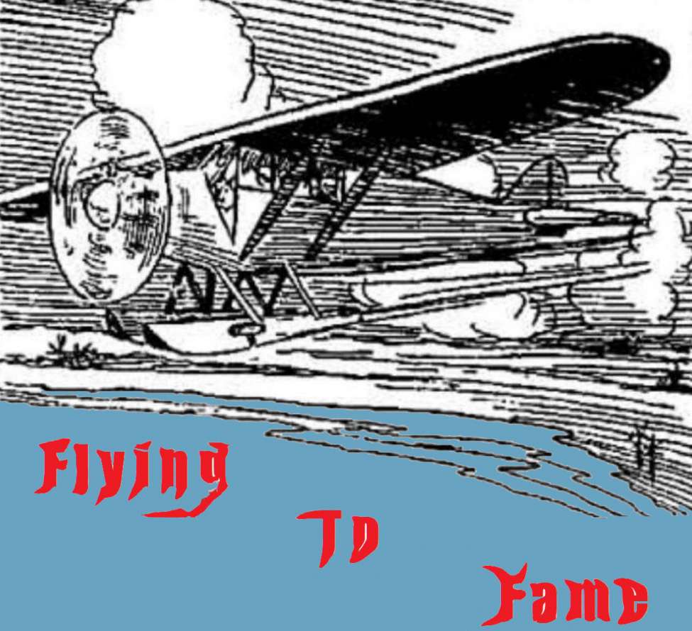 Book Cover For Flying to Fame
