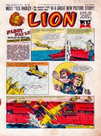 Large Thumbnail For Lion 348