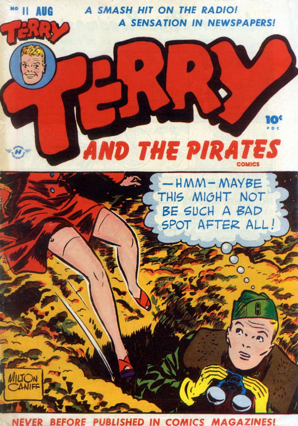 Comic Book Cover For Terry and the Pirates 11