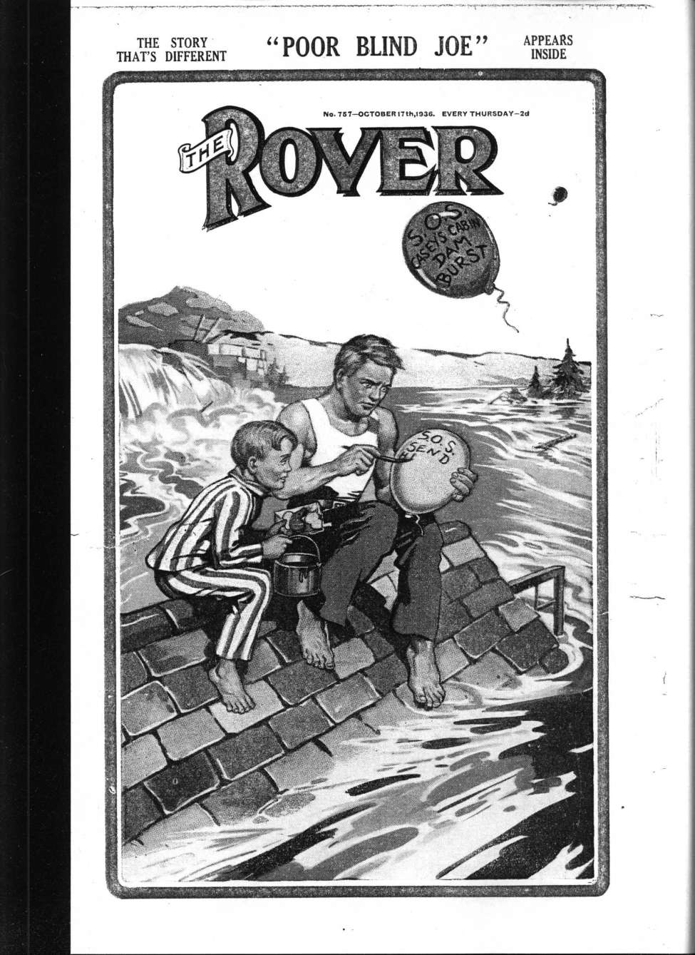 Book Cover For The Rover 757