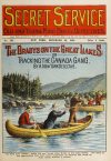 Cover For Secret Service 101 - The Bradys on the Great Lakes
