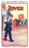 Cover For The Rover 814