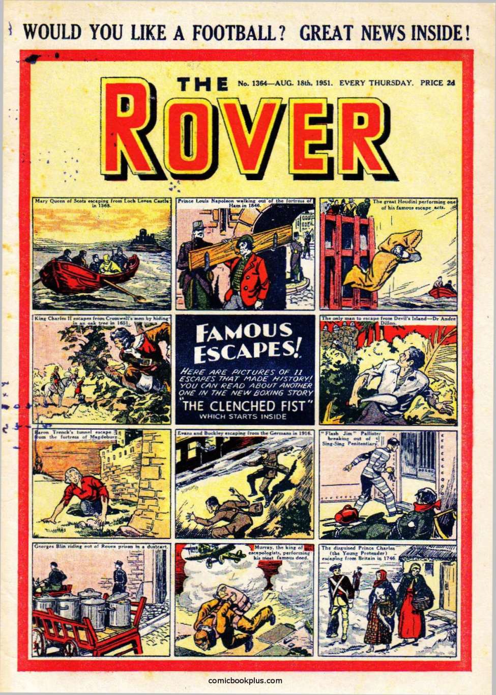 Book Cover For The Rover 1364