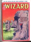 Cover For The Wizard 644