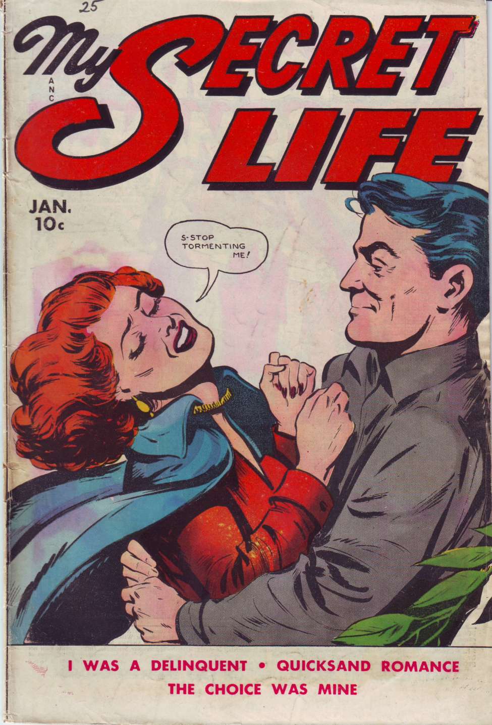 Comic Book Cover For My Secret Life 25