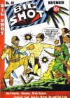 Cover For Big Shot 40