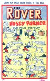 Cover For The Rover 1039