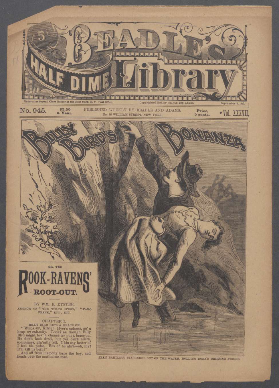 Book Cover For Beadle's Half Dime Library 945 - Billy Bird's Bonanza