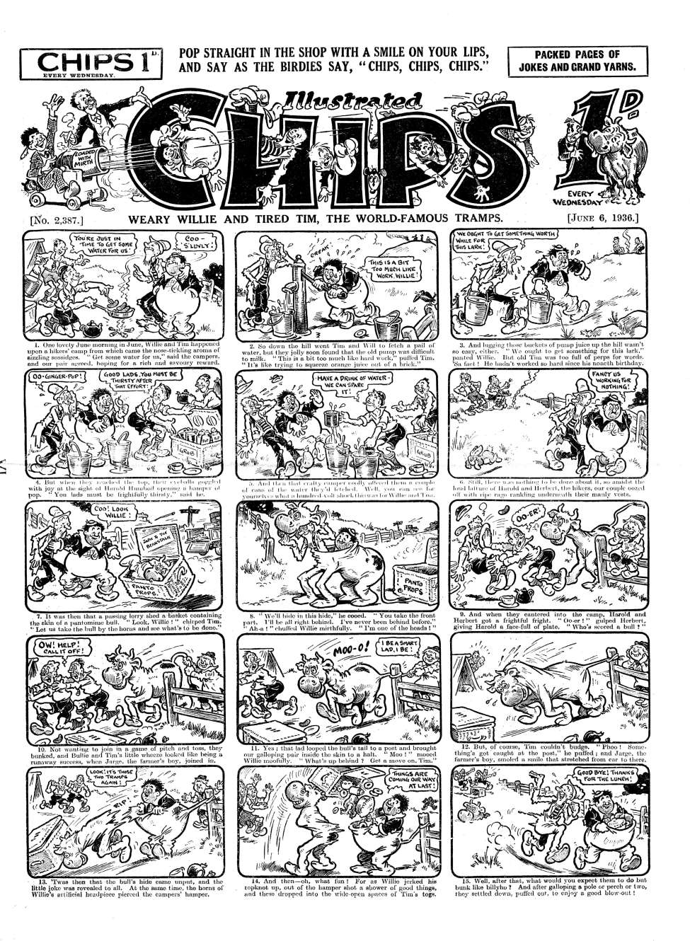 Book Cover For Illustrated Chips 2387