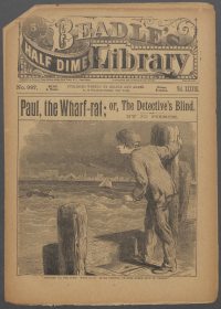 Large Thumbnail For Beadle's Half Dime Library 987 - Paul, the Wharf-Rat