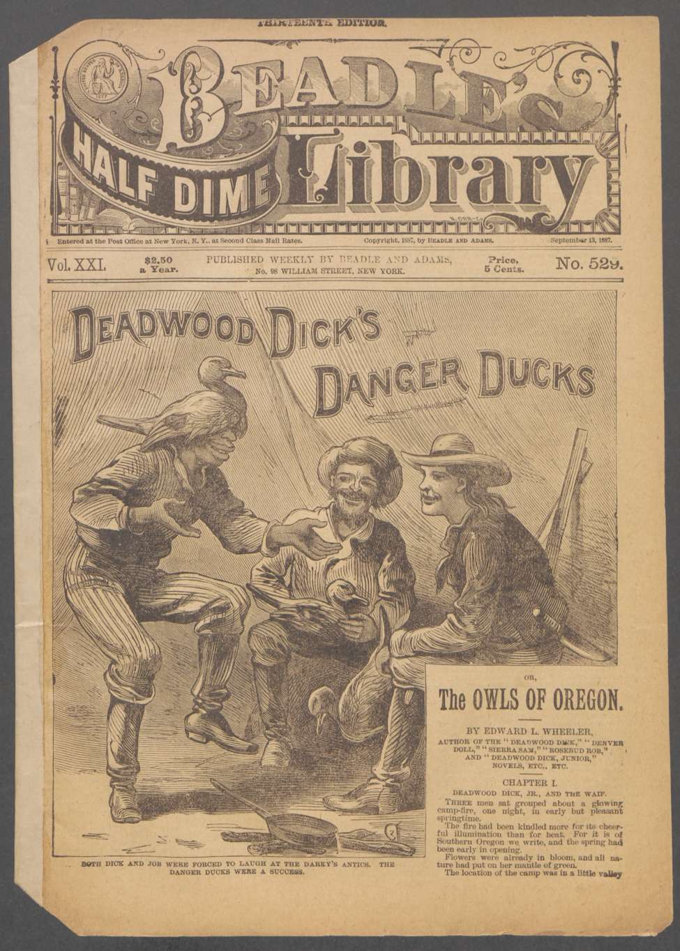 Book Cover For Beadle's Half Dime Library 529 - Deadwood Dick's Danger Ducks