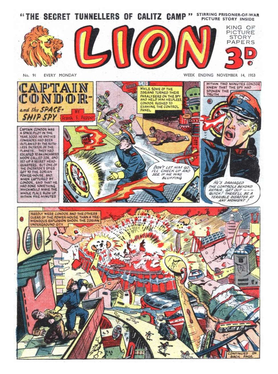 Book Cover For Lion 91