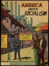 Cover For America Under Socialism