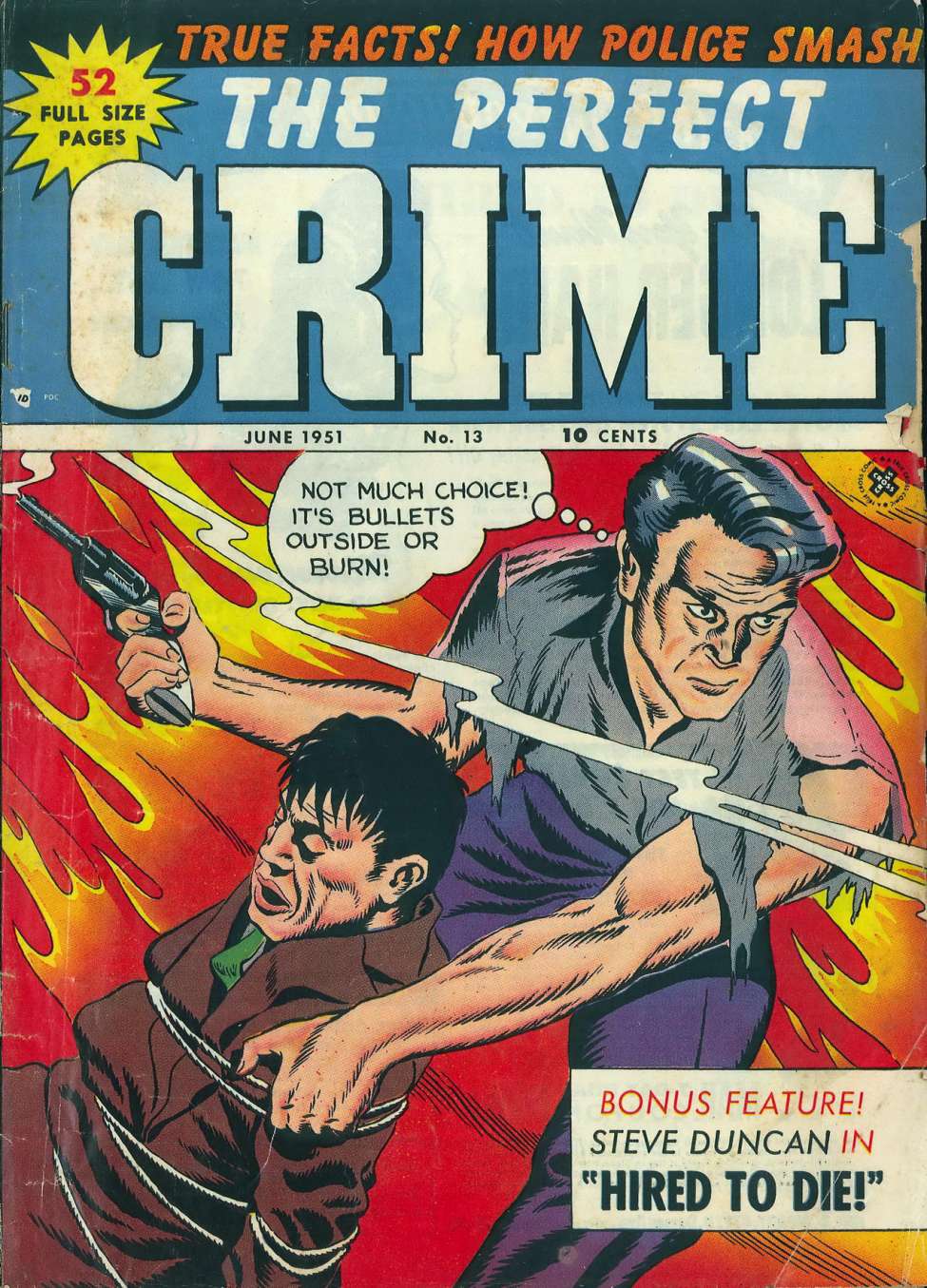 Book Cover For The Perfect Crime 13