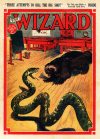 Cover For The Wizard 769