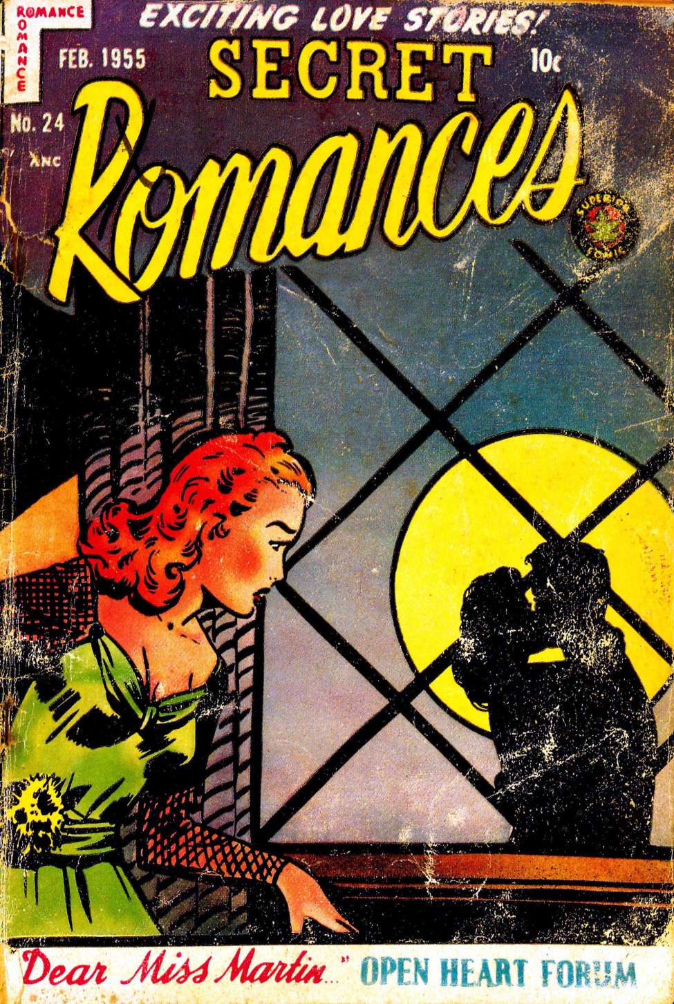 Book Cover For Secret Romances 24