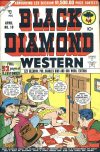 Cover For Black Diamond Western 10