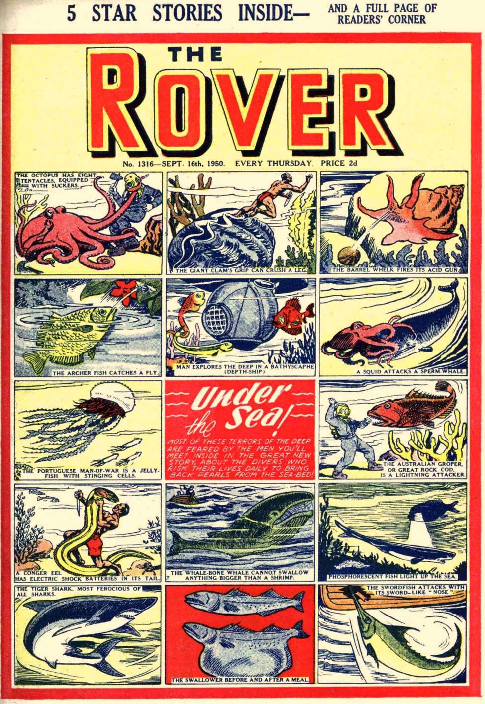 Comic Book Cover For The Rover 1316
