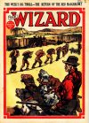 Cover For The Wizard 773