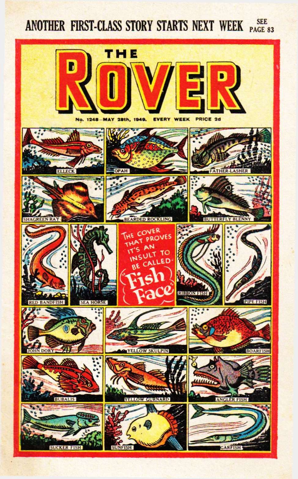 Book Cover For The Rover 1248