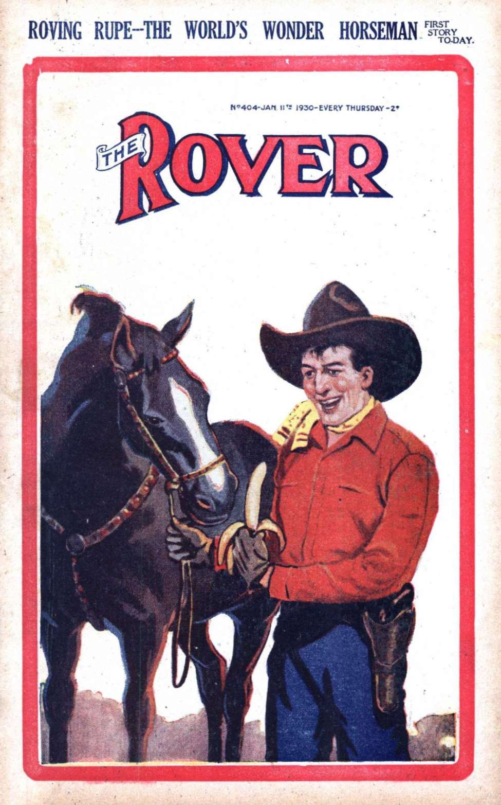 Book Cover For The Rover 404