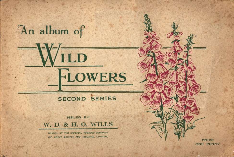 Book Cover For Wills Wild Flowers Cards 2 1939
