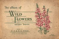 Large Thumbnail For Wills Wild Flowers Cards 2 1939